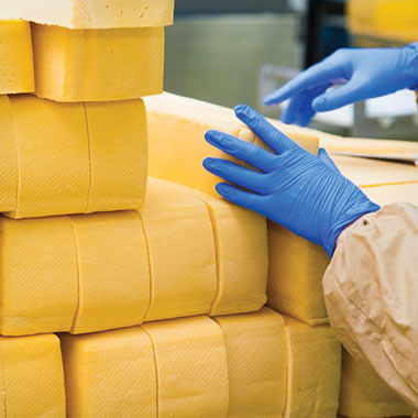Bir süt ürünleri tesisinde bir işçi peynir kalıplarını istifliyor. Süt ürünleri sektöründe TOK analizörleri çıkış sularındaki organik atığın izlenmesine ve ürün kaybının azaltılmasına yardımcı olabilir.